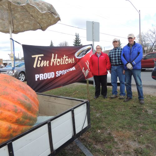 largest pumpkins